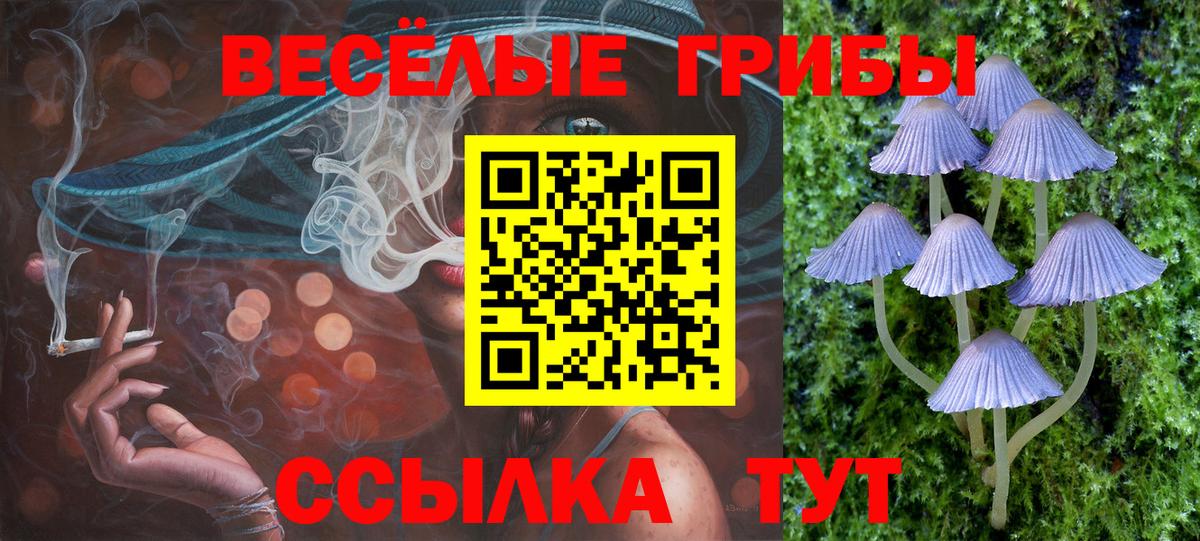 Галлюциногенные грибы прущие грибы Татарск