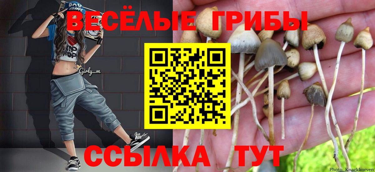 Галлюциногенные грибы MAGIC MUSHROOMS  Галлюциногенные грибы мухоморы  Вход с VPN  Татарск 